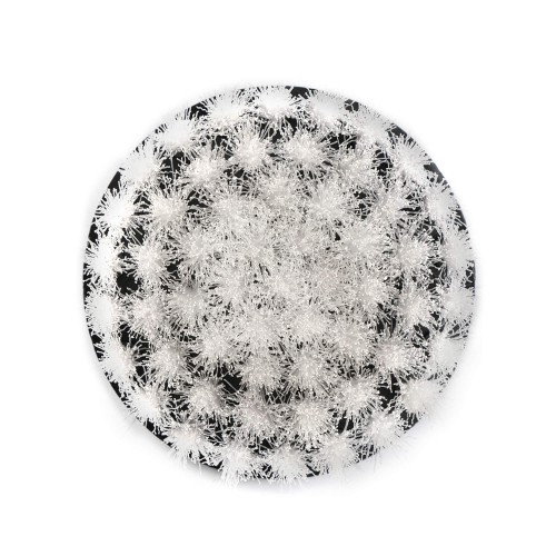 Σετ 2 μαλακές βούρτσες 7012010 MAXSHINE