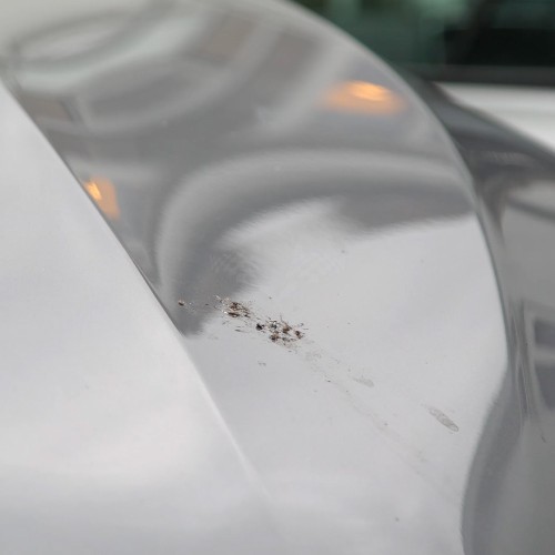 BIRD DROPPING WIPES ΕΙΔΙΚΑ ΠΑΝΑΚΙΑ ΓΙΑ ΚΟΥΤΣΟΥΛΙΕΣ