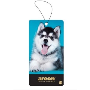 ΑΡΩΜΑΤΙΚΟ ΑΥΤΟΚΙΝΗΤΟΥ ICE DOG AREON ΑΡΩΜΑΤΙΚΟ ΑΥΤΟΚΙΝΗΤΟΥ ICE DOG AREON