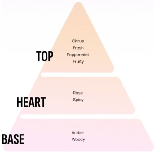 Areon Αρωματικό Σπρέι Αυτοκινήτου Black King VIPB02 50ml Areon Αρωματικό Σπρέι Αυτοκινήτου Black King VIPB02 50ml